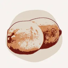 عصير القصب بالحامض أو بالزنجبيل