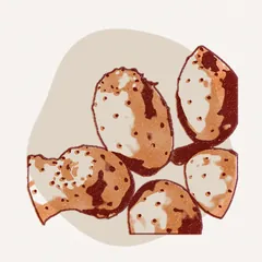 بذور الهندية (التين الشوكي)