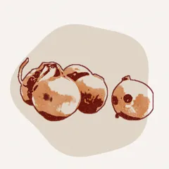 الخضر: الطماطم، البصل، الفلفل